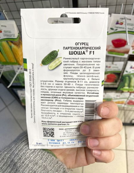 Огурец партенокарпический Шоша F1